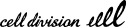 CYDAS